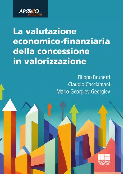 La valutazione economico-finanziaria della concessione in valorizzazione