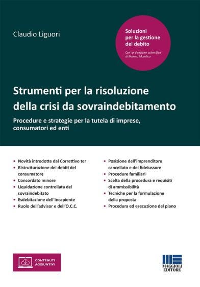 Strumenti per la risoluzione della crisi da sovraindebitamento