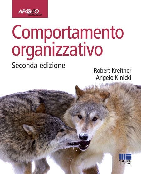 Comportamento organizzativo, seconda edizione