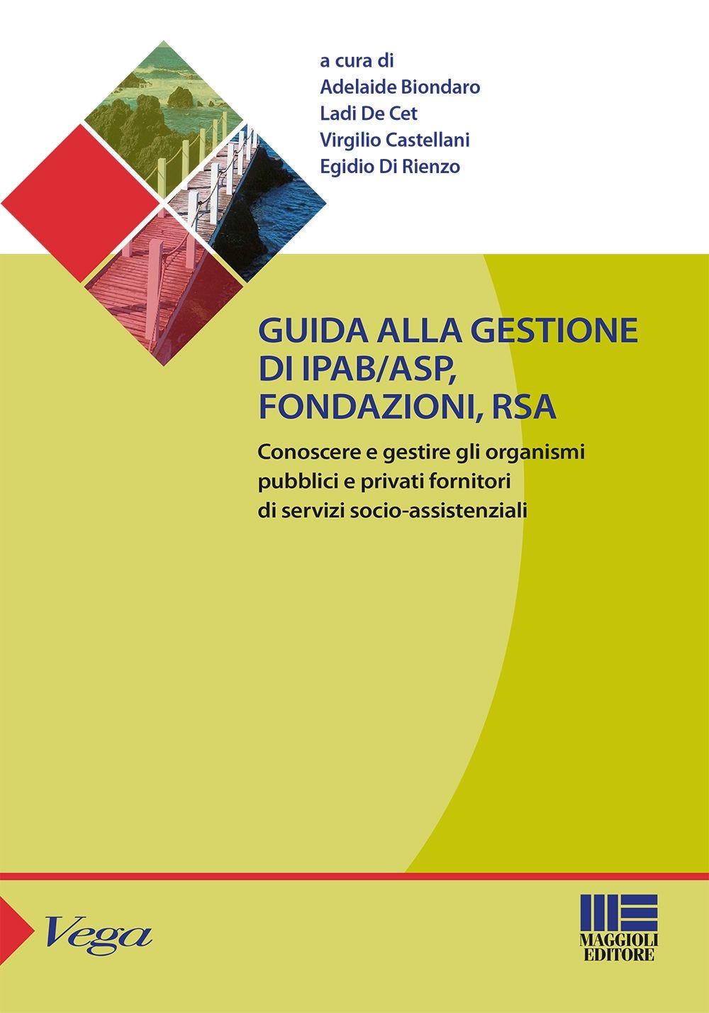 Guida alla gestione di ipab/asp,  fondazioni, rsa