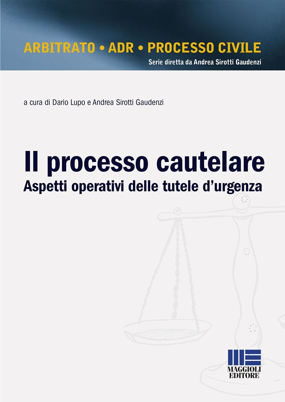 Il processo cautelare